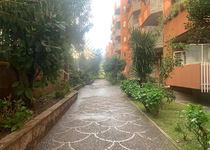 Trastevere Aura - Your With Soul